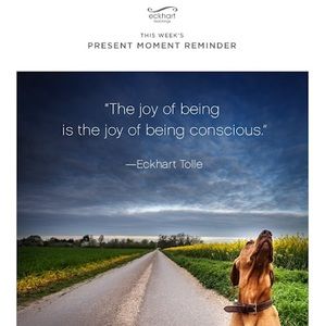 Meet your Posher, Aretha